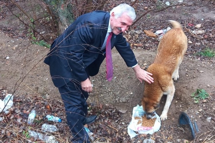 G&uuml;rsu İYİ Parti Sokak canlarını d&uuml;ş&uuml;nd&uuml;ler, il&ccedil;enin dostlarını beslediler!