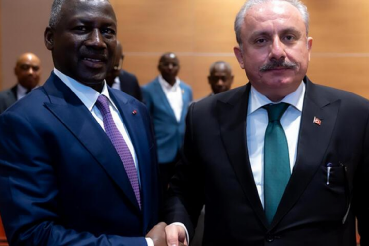 Şentop, Kotdivuar Ulusal Meclis Başkanı Bictogo ile bir araya geldi