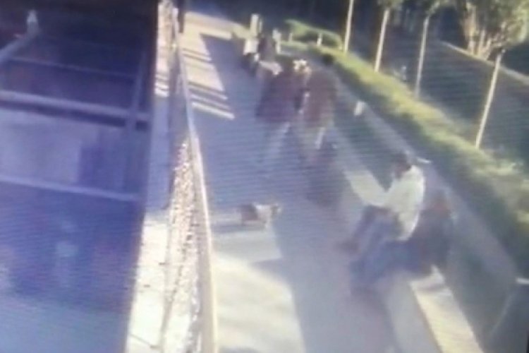 İstanbul'da &ccedil;aldıkları k&ouml;peği sahibine satmak isterken yakalandılar