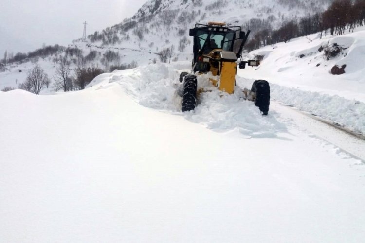 Bing&ouml;l'de 47 k&ouml;y yolu kapandı