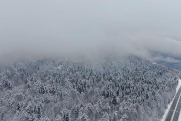 Bolu Dağı karla kaplandı