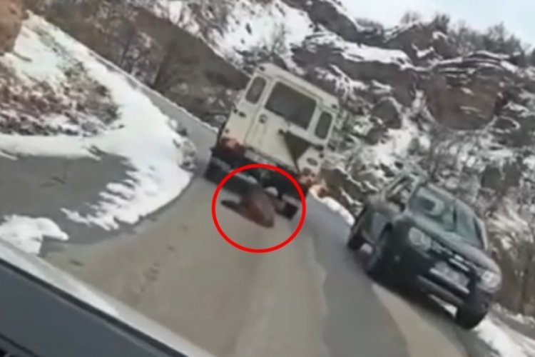 &Ouml;l&uuml; domuzun cip arkasında s&uuml;r&uuml;klenmesine soruşturma başlatıldı