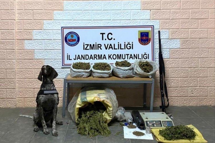 İzmir'de zehir tacirlerine 'k&ouml;k&uuml;n&uuml; kurutma' operasyonu