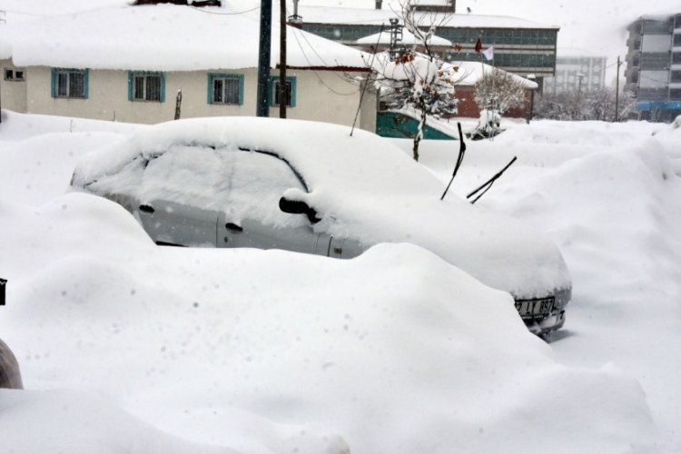 Bitlis'te &ccedil;ok sayıda k&ouml;y yolu kardan kapandı