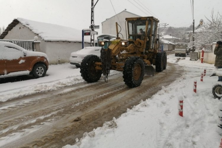 Orhangazi beyaza b&uuml;r&uuml;nd&uuml;
