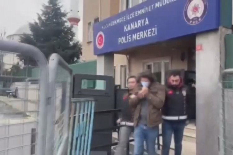 İstanbul'daki kedi d&uuml;şmanı hakkında yakalama kararı &ccedil;ıktı