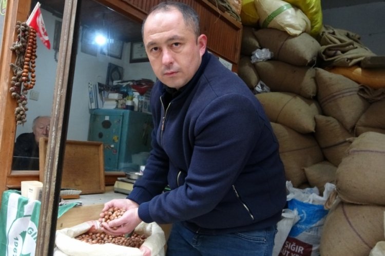 Giresun'da TMO'nun 58 TL'den fındık satışına tepki