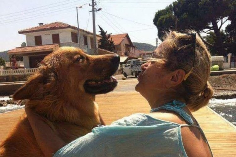 İzmir'de ayrıldığı sevgilisine beraberken sahiplendikleri k&ouml;pek i&ccedil;in dava a&ccedil;tı