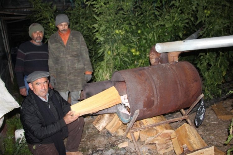 Antalya'da seralar 'donmasın' n&ouml;beti