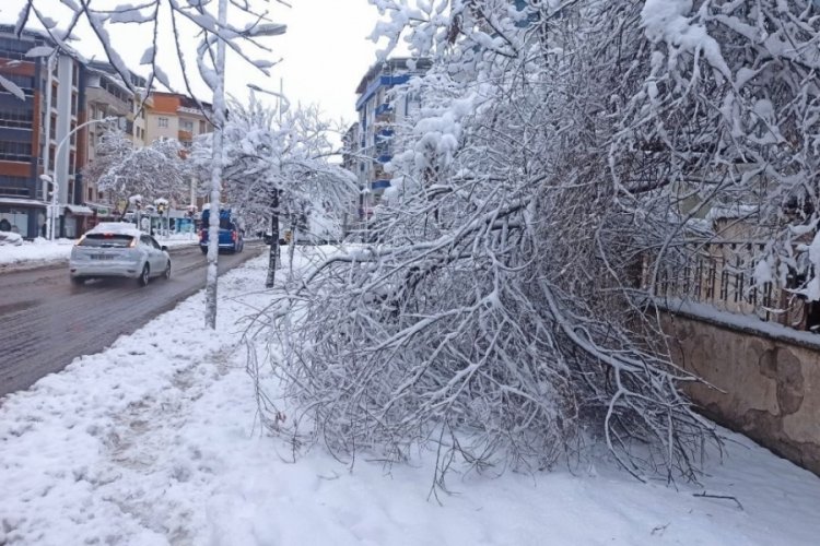 Malatya karlı bir g&uuml;ne uyandı