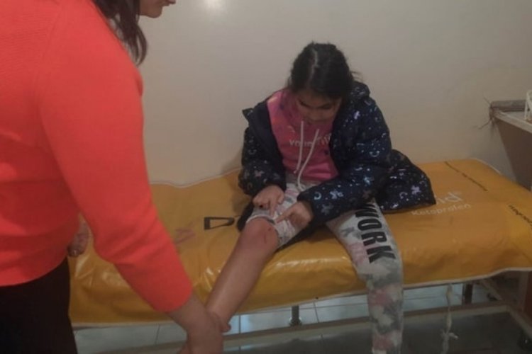 Hatay'da sokak k&ouml;peğinin saldırdığı k&uuml;&ccedil;&uuml;k kız yaralandı