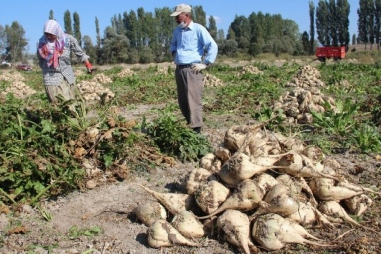Pancar &uuml;reticisi &ccedil;ift&ccedil;ilerinin &ouml;demeleri bug&uuml;n hesaplarda