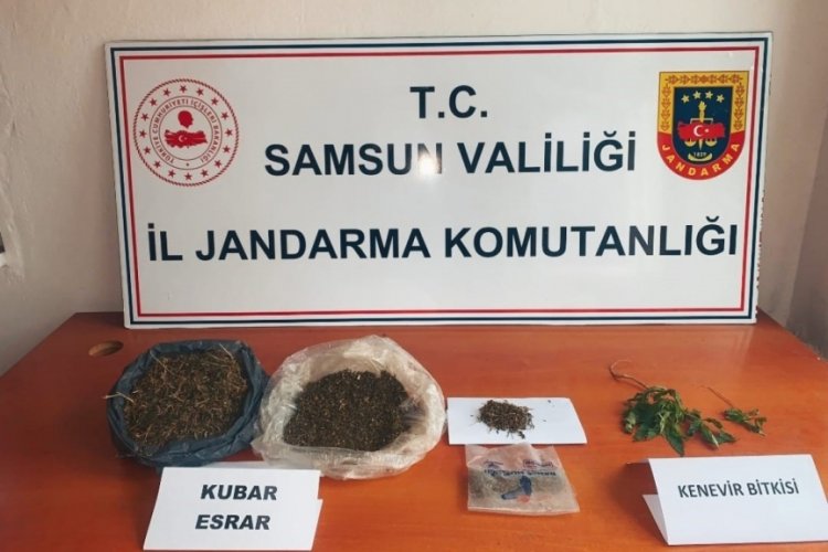 Samsun'da jandarmadan uyuşturucu operasyonu