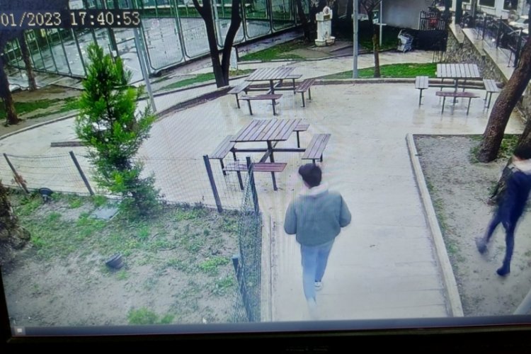 Bursa'da pes dedirten olay! Parktaki kedi kul&uuml;belerini yakıp, &ccedil;&ouml;p kutularına zarar verdiler