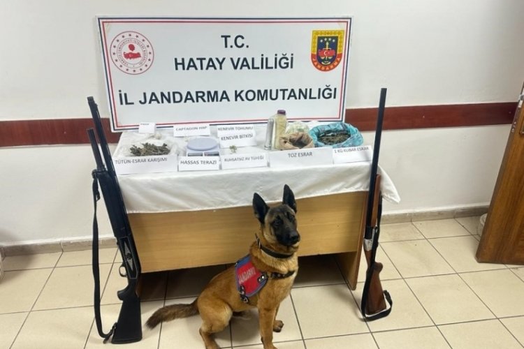 Hatay'da uyuşturucu operasyonu