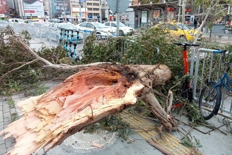 İzmir'de fırtına hayatı fel&ccedil; etti