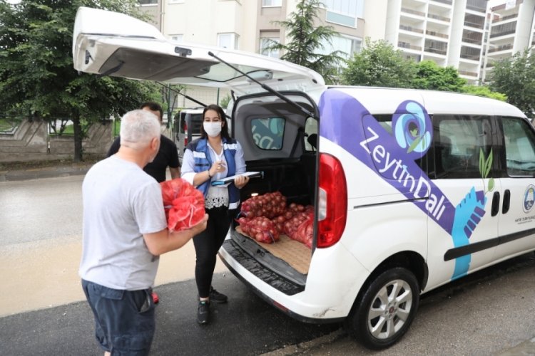 Mudanya'da Zeytin Dalı Projesi ile her ay 6200 aileye destek