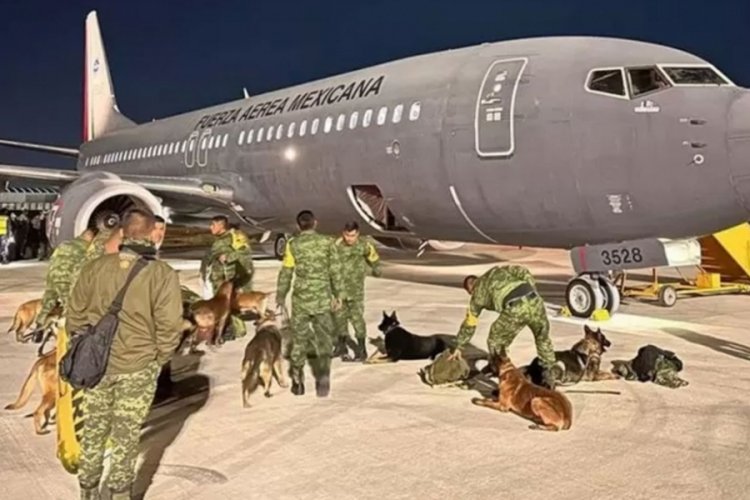 Meksika, arama kurtarma k&ouml;peklerini T&uuml;rkiye'ye getiriyor
