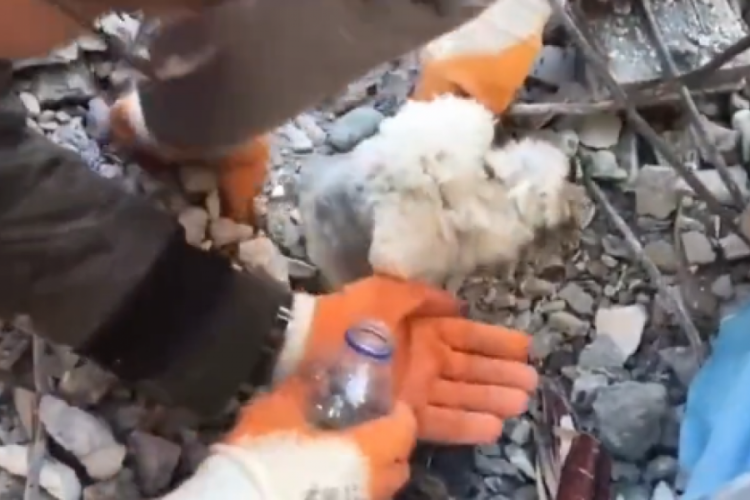 60. saatte mucizevi kurtuluş! Sabırla bekledi