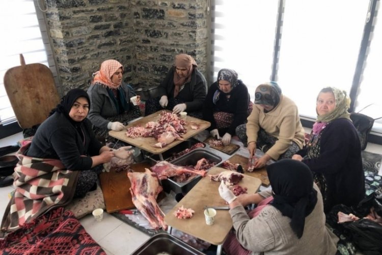Denizli'de kestikleri 70 k&uuml;&ccedil;&uuml;kbaşı deprem b&ouml;lgesine g&ouml;nderdiler