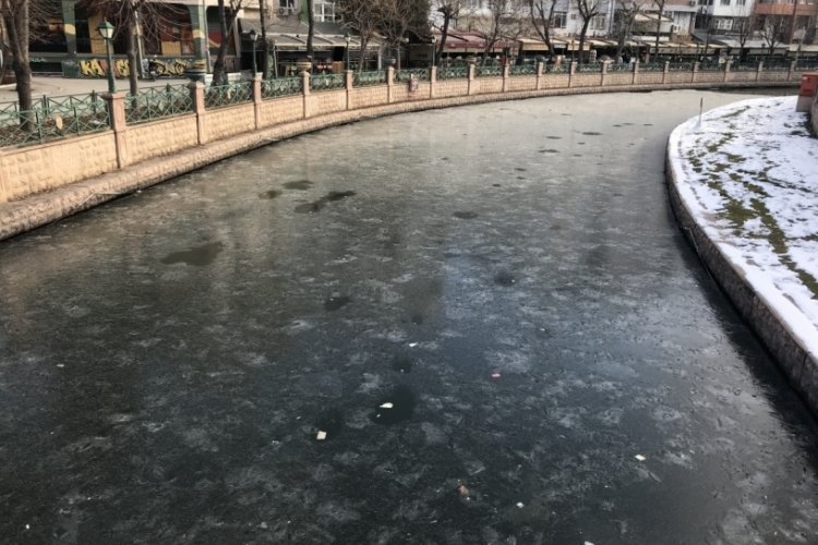 Eskişehir'de Porsuk &Ccedil;ayı buz tuttu