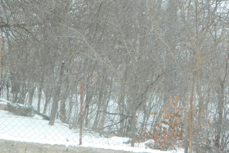 Posof'ta tipi etkili oldu! K&ouml;y yolu ulaşıma kapandı