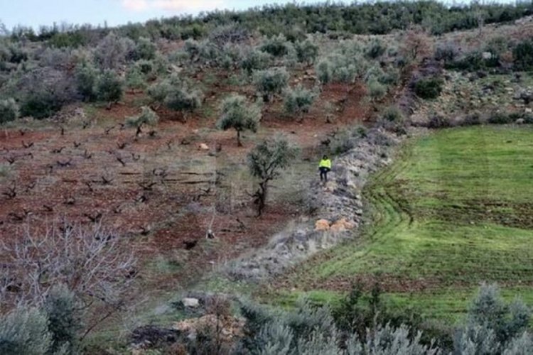 Deprem b&ouml;lgesinde yollar, duvarlar ve tarlalar metrelerce kaydı