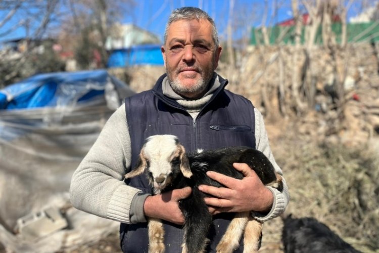Osmaniye'de kuzuya 'Deprem' ismi verildi
