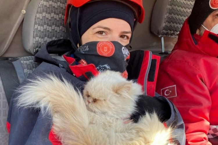 Bursa G&uuml;rsulu ekip deprem b&ouml;lgesinde isimsiz kedi buldu! Sahibini arıyor