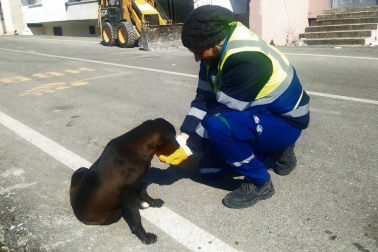 Bursa deprem mağduru sahipsiz sokak hayvanlarını ihmal etmedi