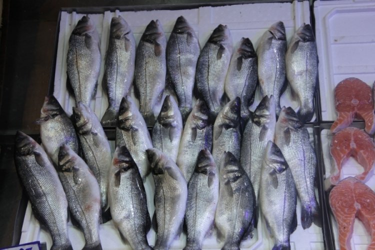 Balığın fiyatı daha da artabilir! İşte tezgahlardaki son durum
