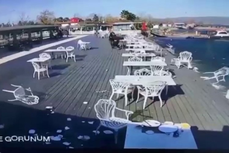 Sakarya'da g&ouml;l kenarında panik
