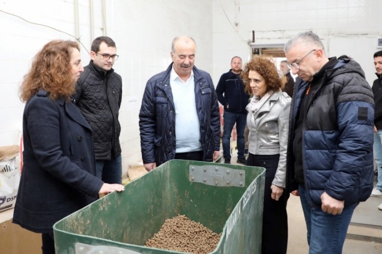 Mudanya belediyesi sokak hayvanlarının yanında