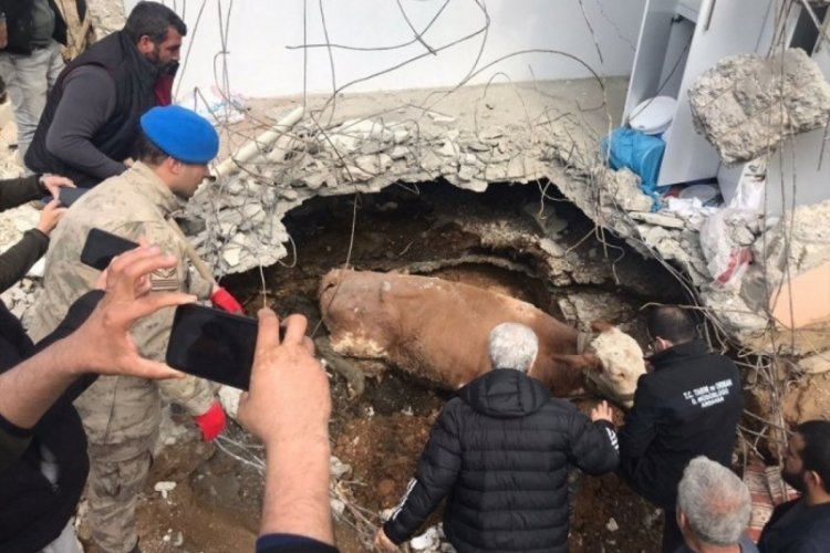 Adıyaman'da depremin 15. g&uuml;n&uuml;nde sarıkız kurtarıldı