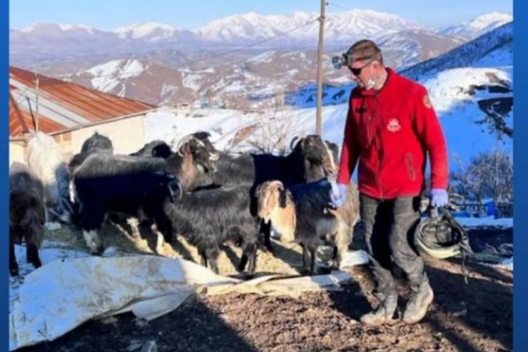 DASKUT depremin 17. g&uuml;n&uuml;nde hayvanları kurtardı