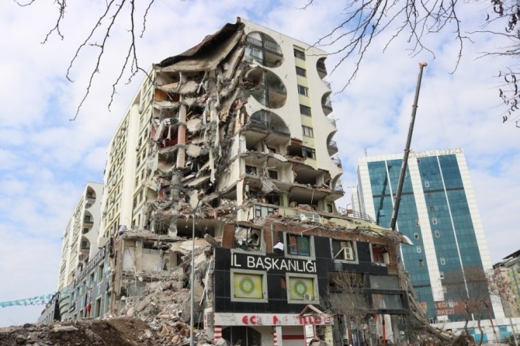Galeria İş Merkezinden kurtarılan 6 kedi sahibine teslim edildi