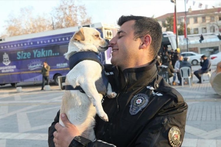 Depremde kurtarılan "Afitap" asıl sahibine teslim edildi