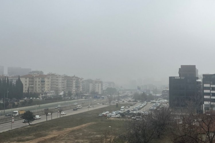 Bursa sise g&ouml;m&uuml;ld&uuml;
