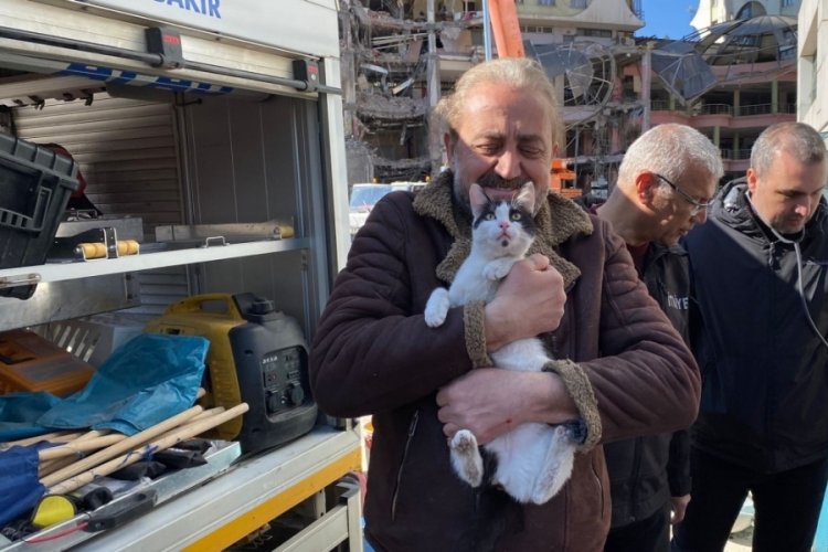 Yıkımı durdurulan Galeria Sitesi'nden 12 kedi kurtarıldı