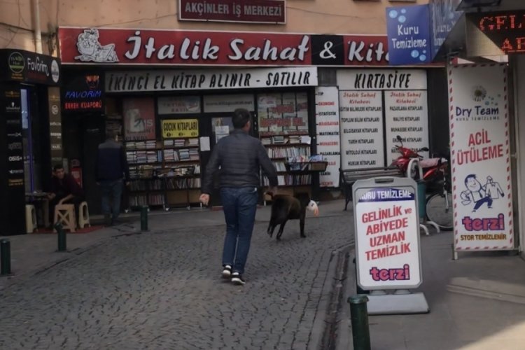 Sokak k&ouml;peği mağazadan pel&uuml;ş oyuncak &ccedil;aldı