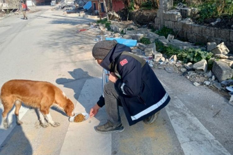 Afet b&ouml;lgesindeki can dostlara Osmangazi şefkati