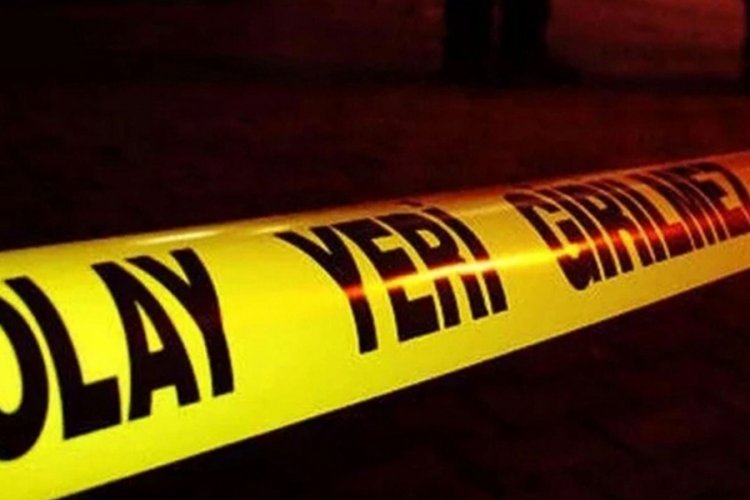 Diyarbakır'da bir kadın, geliniyle birlikte tacizine uğradığı adamı silahla vurdu