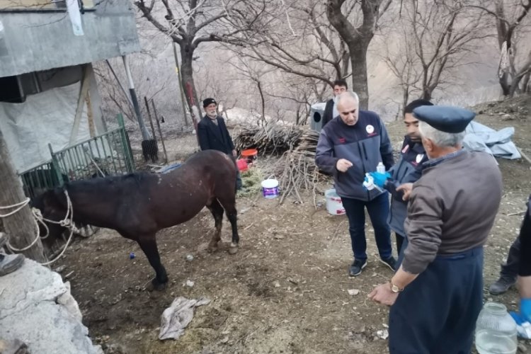 Enkazdan 21 g&uuml;n sonra canlı &ccedil;ıkarıldı