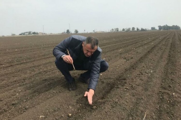Adana'da depremzede &ccedil;ift&ccedil;iler ekim yapıyor