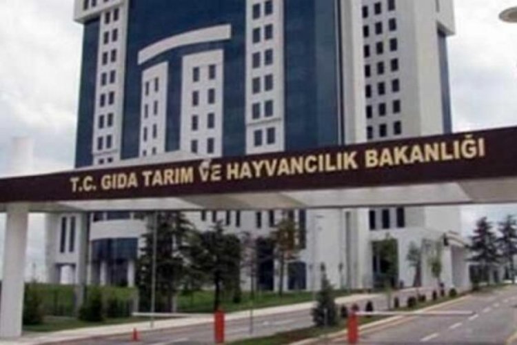 Erkenek G&ouml;leti'nde tehlike tespit edildi mi?