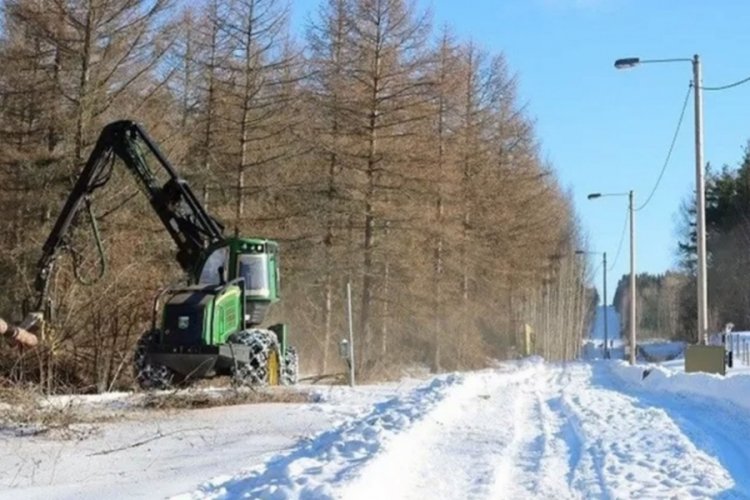 Finlandiya Rusya sınırında duvar inşa etmeye başladı