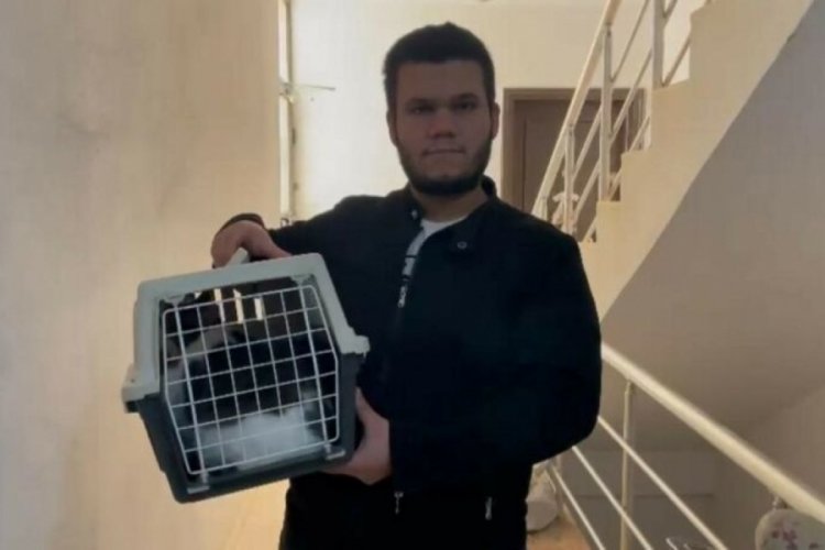 Antalya'da kaybolan kedisinin yerini r&uuml;yasında g&ouml;rd&uuml;