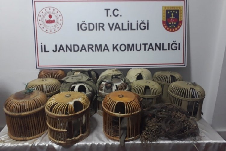 Iğdır'da ka&ccedil;ak keklik avcılarına ağır ceza