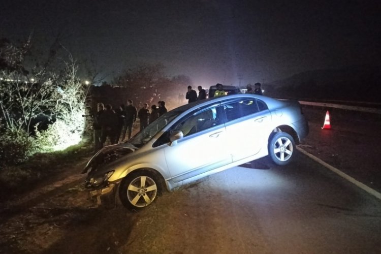 Bursa'da &ouml;n&uuml;ne &ccedil;ıkan k&ouml;pekten ka&ccedil;tı! Bariyerlere &ccedil;arpıp yoldan &ccedil;ıktı