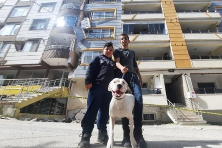 Hatay'da Dora isimli k&ouml;pek depremde 2 &ccedil;ocuğu kurtardı